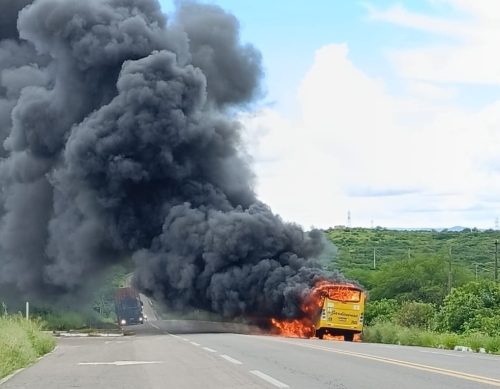Ônibus pegou fogo na BR-226 próximo ao município de Santa Cruz — Foto: Will Pessoa/Cedida
