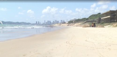 MPF apura medidas para proteger fauna marinha na Via Costeira de Natal — Foto: Reprodução/Inter TV Cabugi