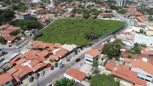 Cajueiro de Pirangi, o maior cajueiro do mundo, em Parnamirim, na Grande Natal. — Foto: Idema/Divulgação
