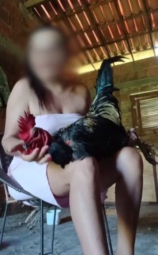 Investigada mora em Marcelino Vieira, Alto Oeste do RN — Foto: Reprodução