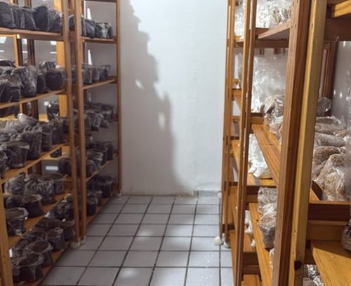 Substâncias eram comercializadas pela internet — Foto: Divulgação/Polícia Federal