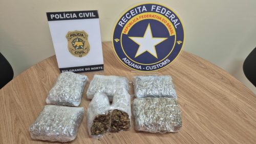 Polícia Civil e Receita Federal apreendem drogas em encomenda interestadual em Parnamirim — Foto: Divulgação